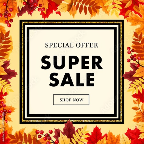 Autumn super sale banner with maple autumn leaves, gold element and outline. Vector fall poster ,label, flyer and shopping vol 15