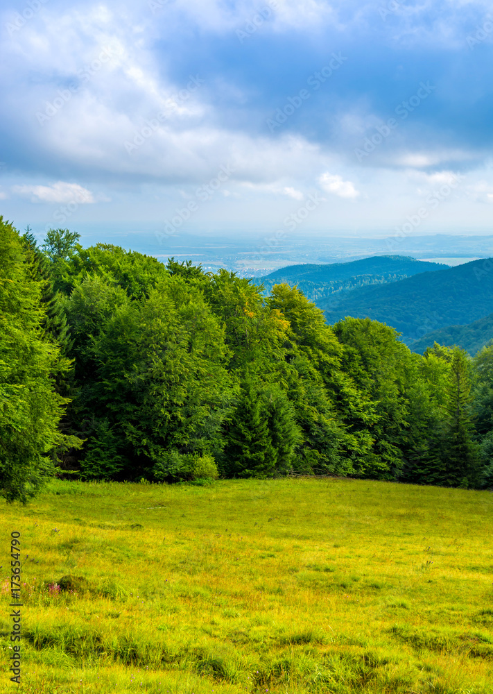 Photo of green forest and valley in Carpathian mountains Photo of green forest and valley in Carpathian mountains