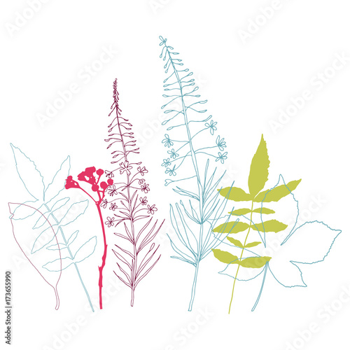 Floral vector botanical illustration with different hand drawn leaves, wild f...
