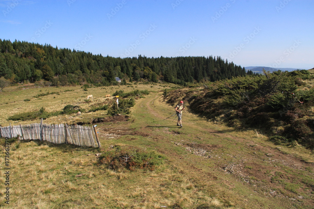 sentier de randonnée en Auvergne