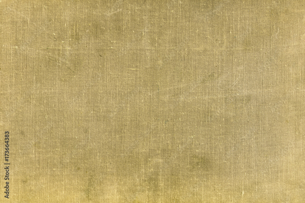 Fototapeta premium grunge canvas background
