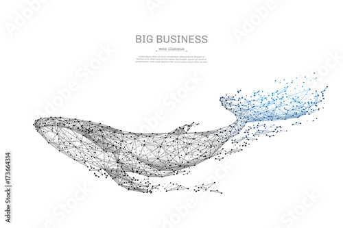 Blue whale low poly wireframe isolated black on white background. Abstract mash line and point origami. Vector illustration. large marine animal with geometry triangle. Light connection structure.