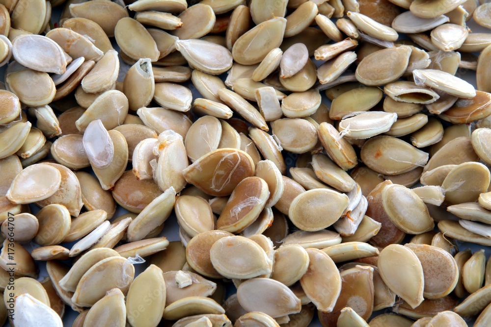 seeds of pumpkin as condiment or healthy food seeds of pumpkin as condiment or healthy food