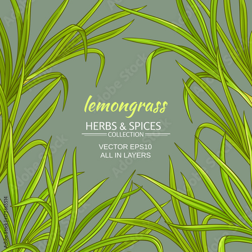lemongrass vector frame