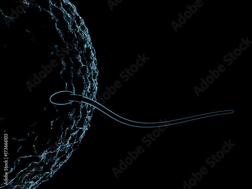 Obraz na plátne Sperm and egg cell microscopic view. 3D rendering