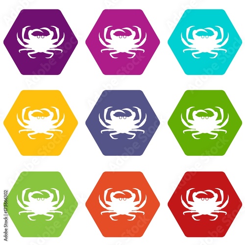Crab icon set color hexahedron
