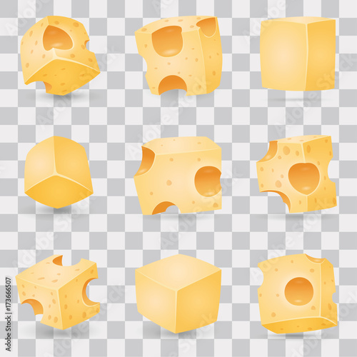 Cheese slices vector set
