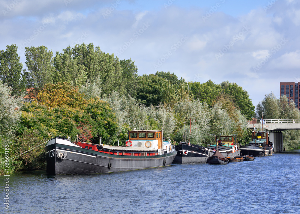 Old barges moored in a canal with lush green vegetation, Tilburg, Netherlands