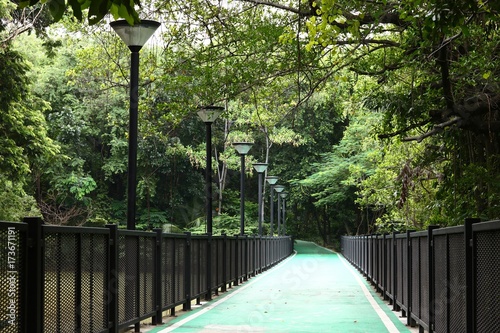 bike lanes in Wachirabenchathat Park photo