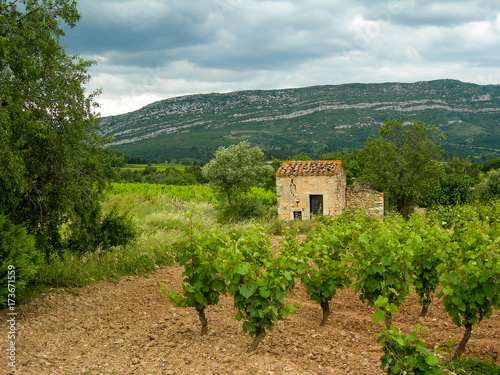 Farm building and vineyards near Lezignan, France
