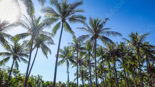 Exploring Darwin in the Northern Territory, Australia