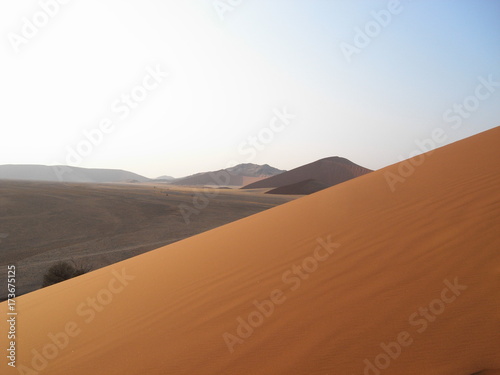 Namib Desert  Namibia  Africa