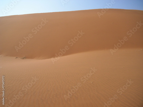 Namib Desert  Namibia  Africa