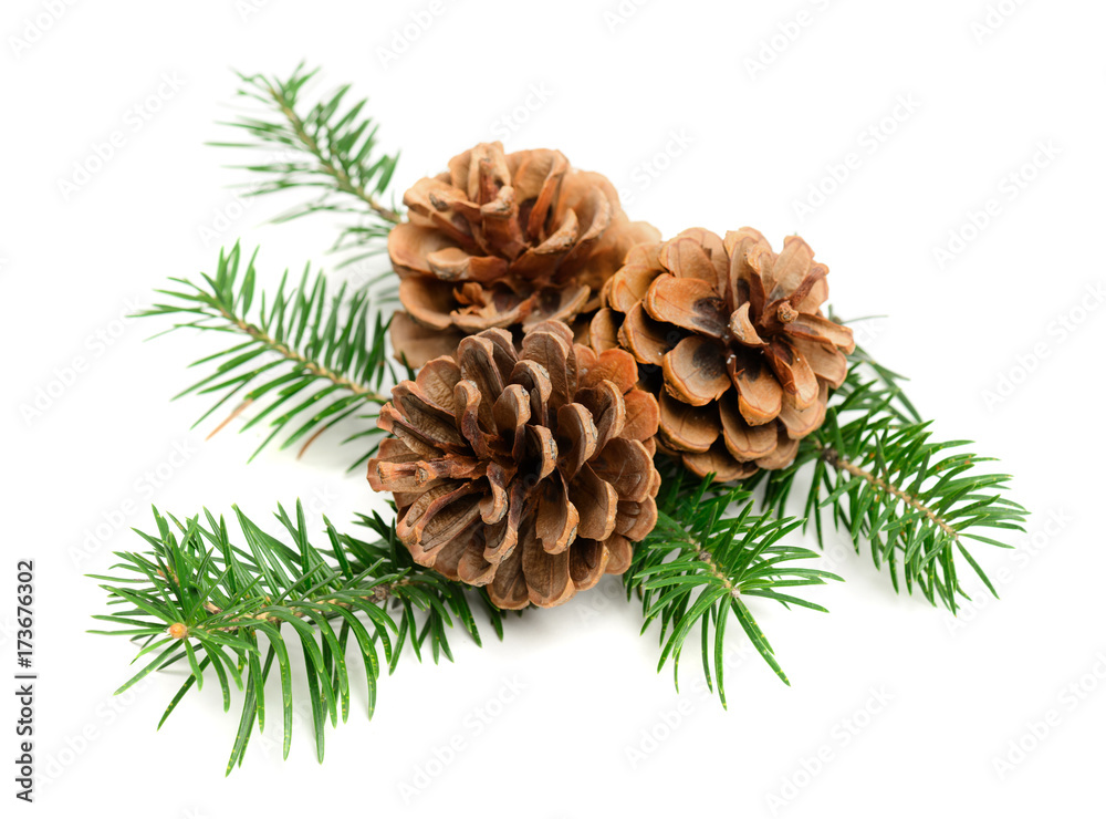 Christmas pine cones Christmas pine cones