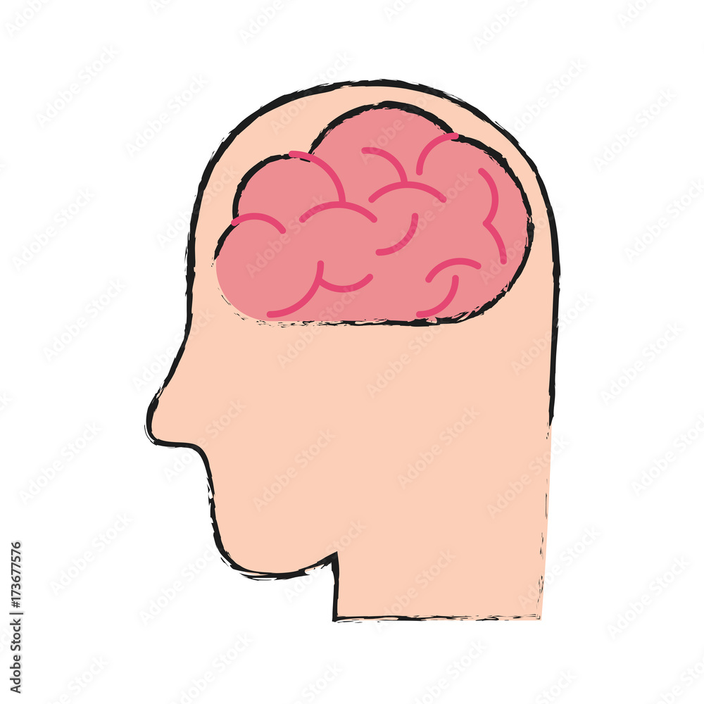 medical human brain vector icon illustration graphic design medical human brain vector icon illustration graphic design