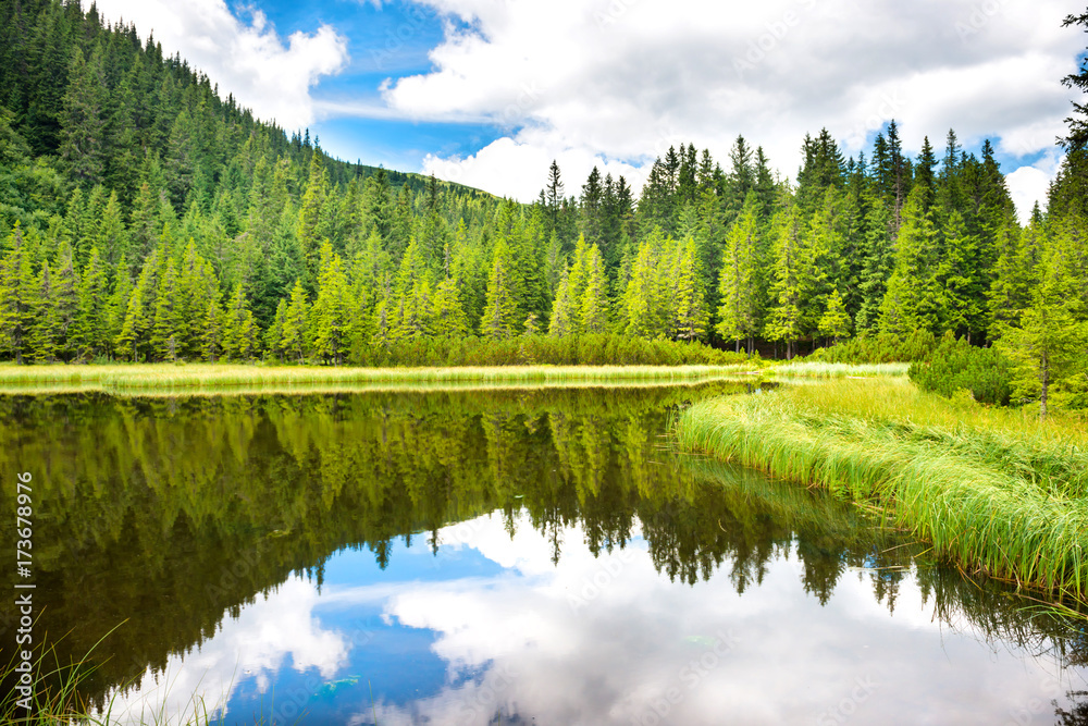 Fototapeta premium Blue water in a forest lake