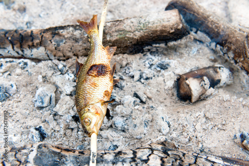 Grilled fish on the fire