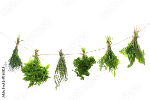 Fresh herbs hanging on string against white background