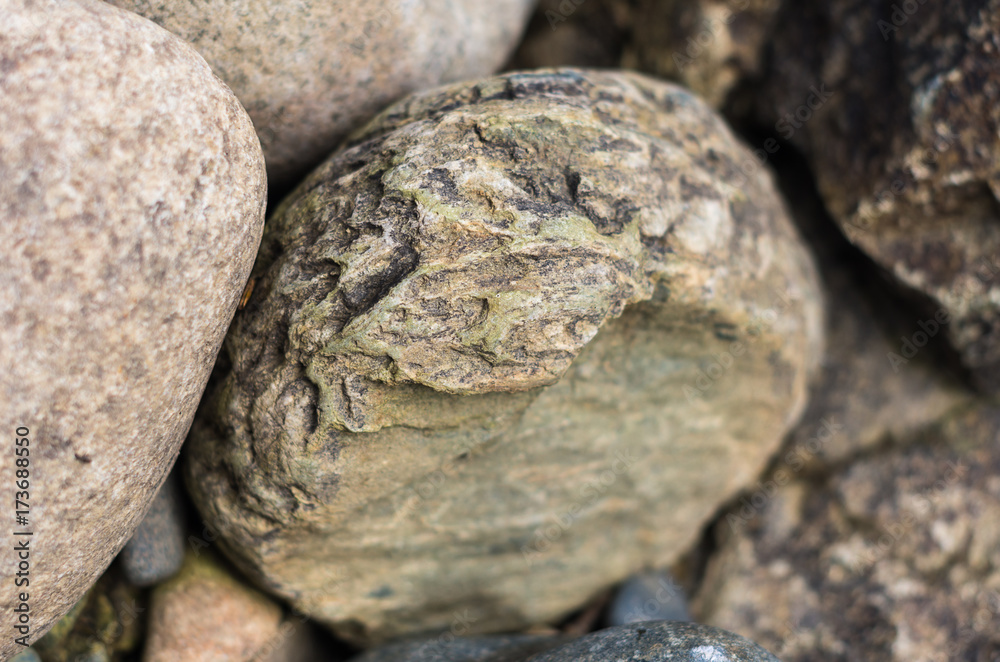 Close up of stones on a mountain river bank, colorful texture background, sunny summer day
