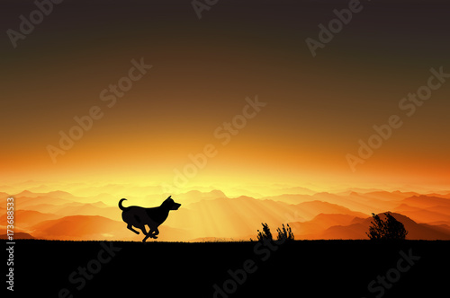 日の出と走る犬のシルエット © bigfoot