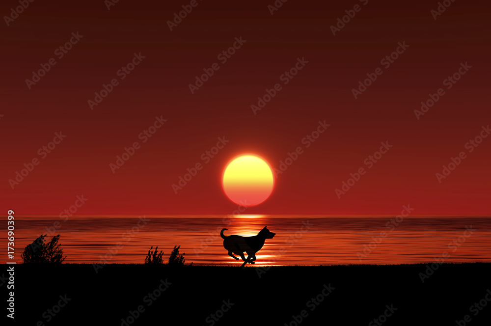 日の出と走る犬のシルエット Stock Illustration Adobe Stock