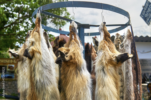 Fox skins are sold on the village market in Armenia