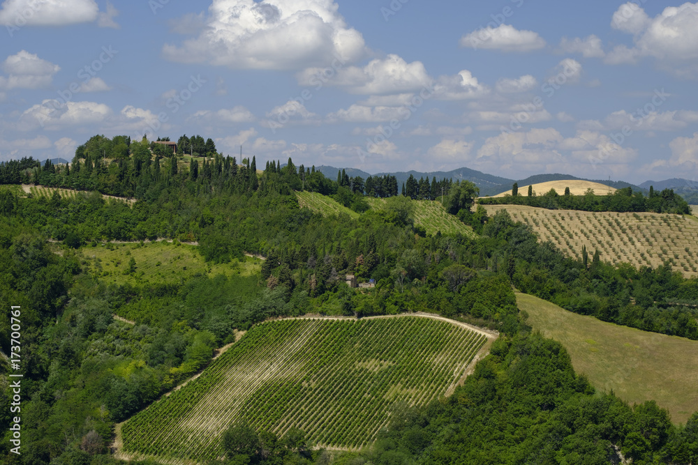 Obraz premium Summer landscape between Brisighella and Modigliana (Romagna, Italy)