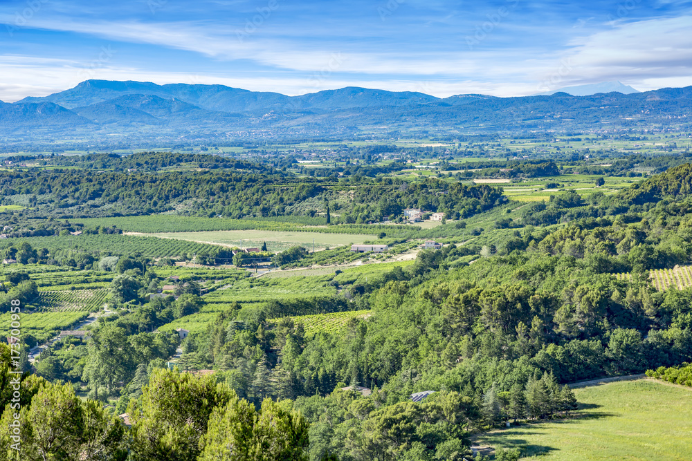Naklejka premium Idyll in the South of France