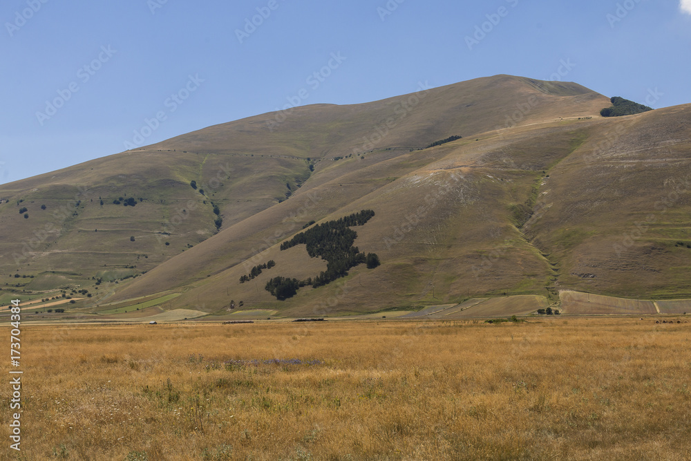 Obraz premium Small Green Italy