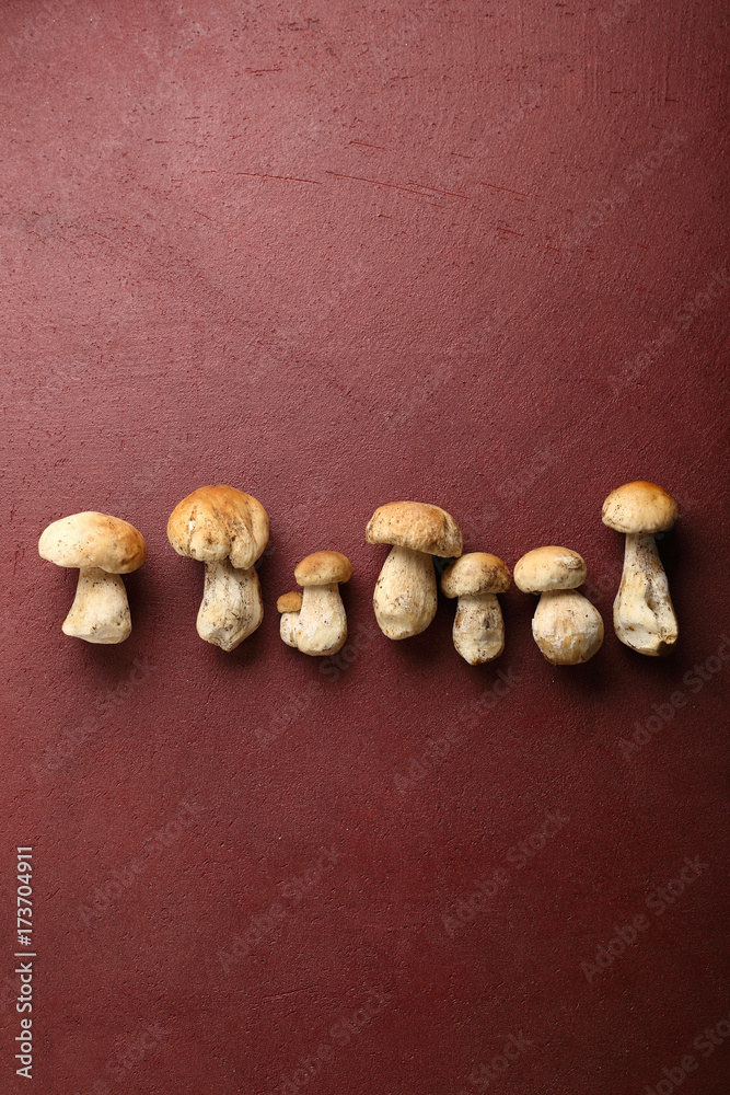 Forest mushrooms on red background