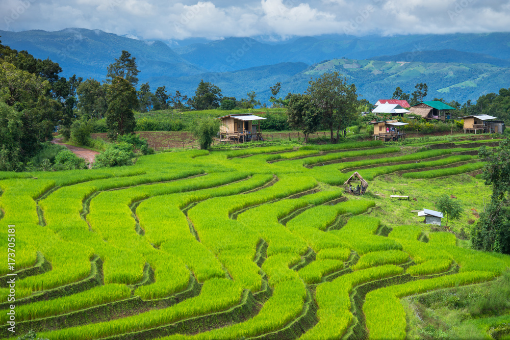 Green Terraces rice field scenery with morning blue sky cloudy at Baan Papongpieng Chiang Mai Thailand