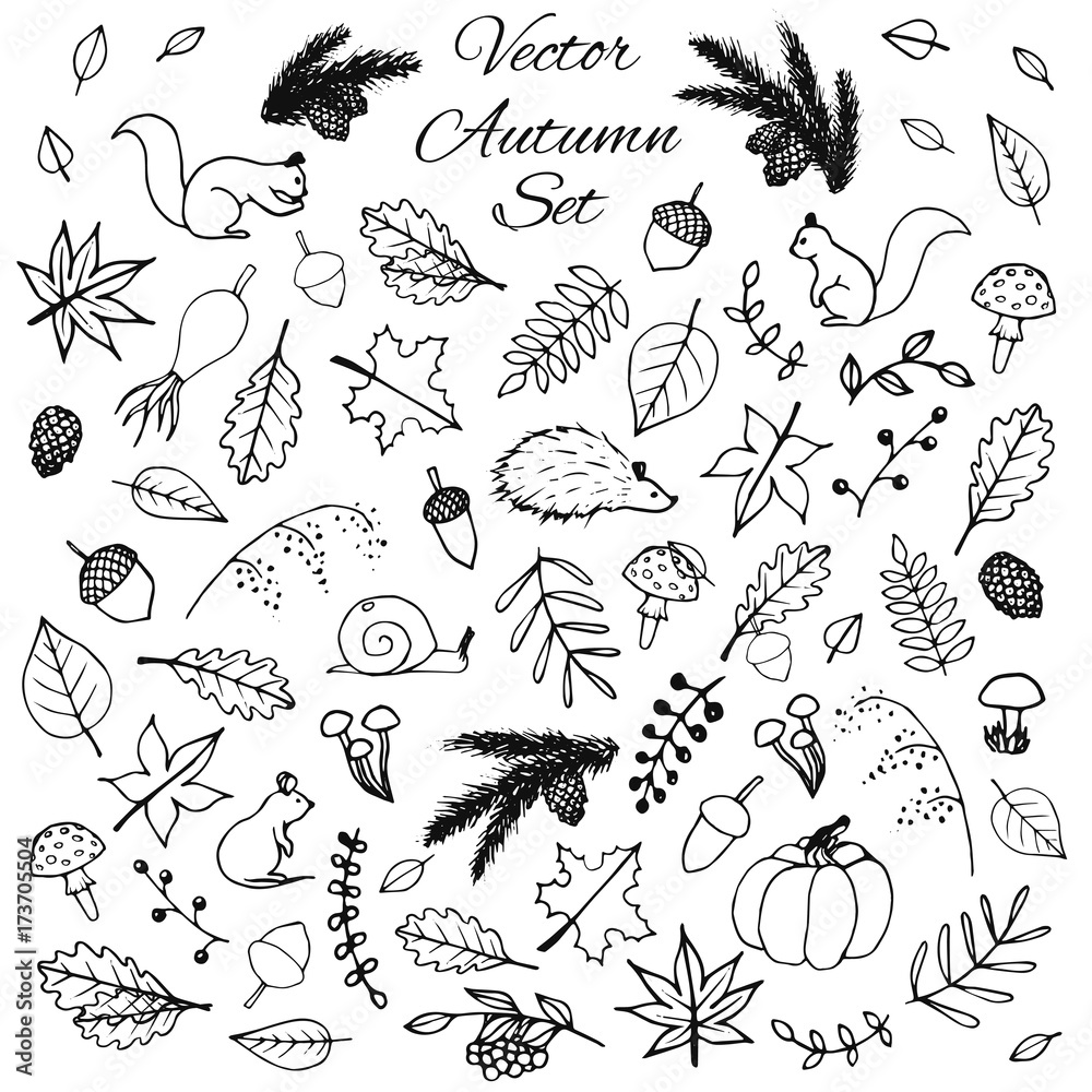 Hand drawn set of vector autumn elements: animals and leaves. Stock ...