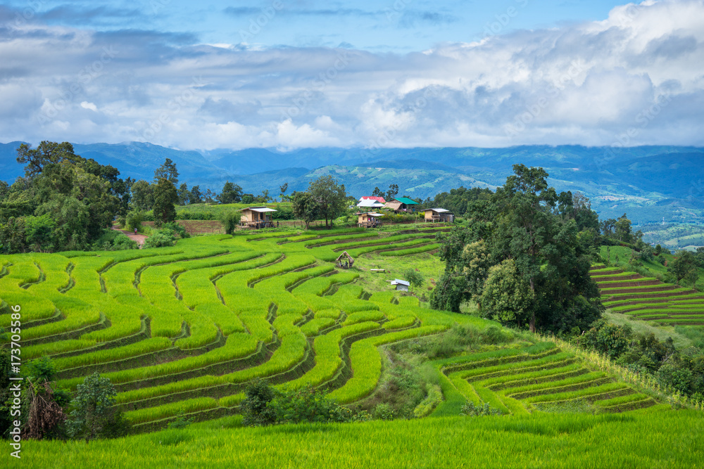 Green Terraces rice field scenery with morning blue sky cloudy at Baan Papongpieng Chiang Mai Thailand