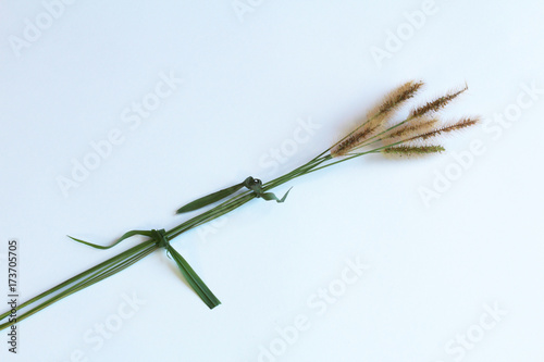 Seed heads from grasses tied with blades of grass, isolated on white
