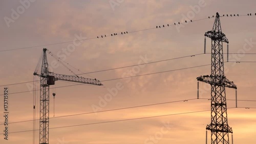 Power line, construction crane and birds with creamy colorful sky in the morning
