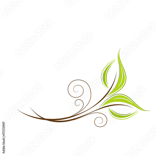 Stylish abstract background with green leaves. Element for design. Vector illustration.