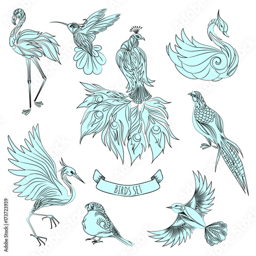 Set of beautiful decorative hand drawn birds, vector illustration