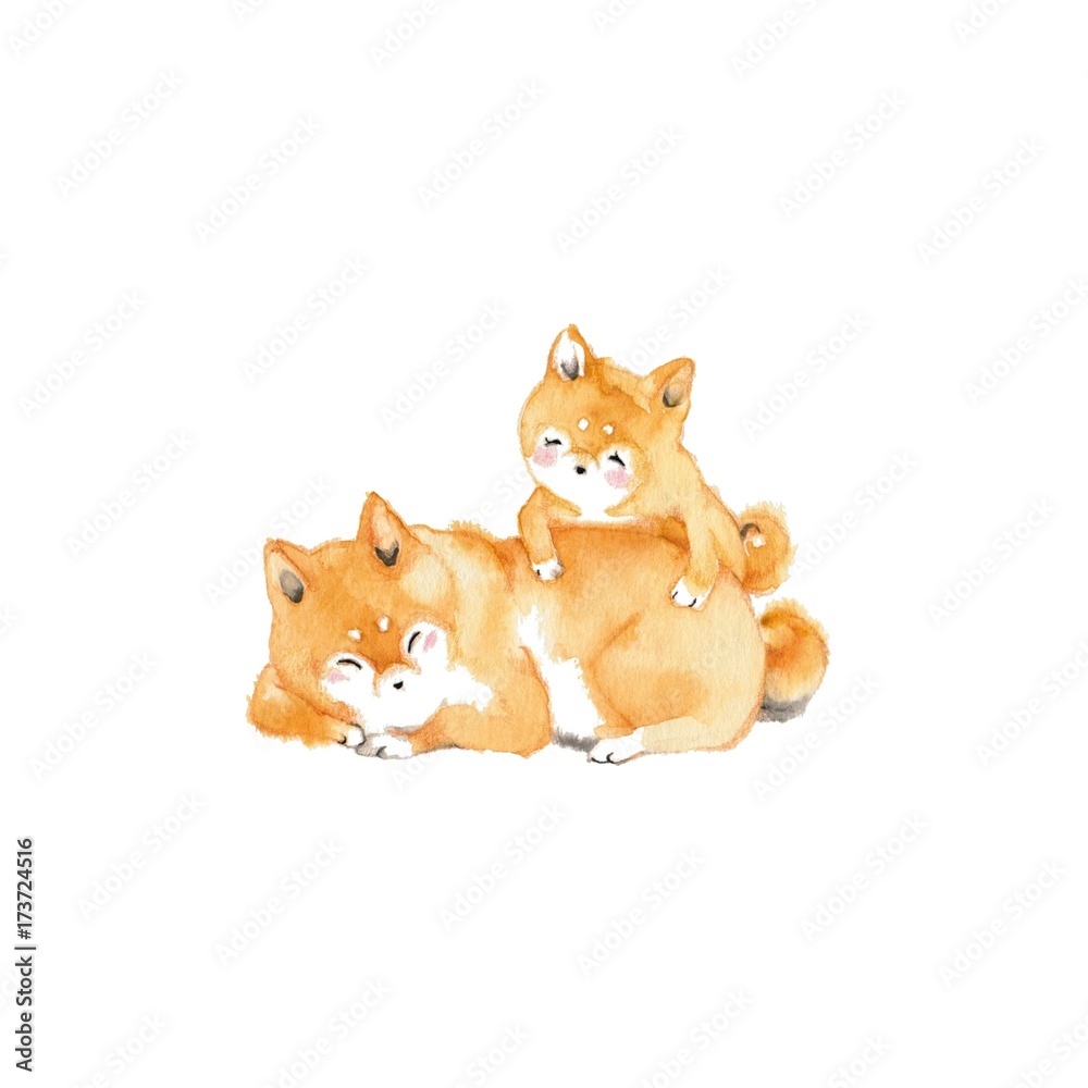 Fototapeta premium 犬2匹