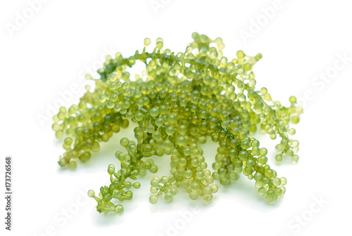 Seagrapes (green caviar ) seaweed in wooden plate photo