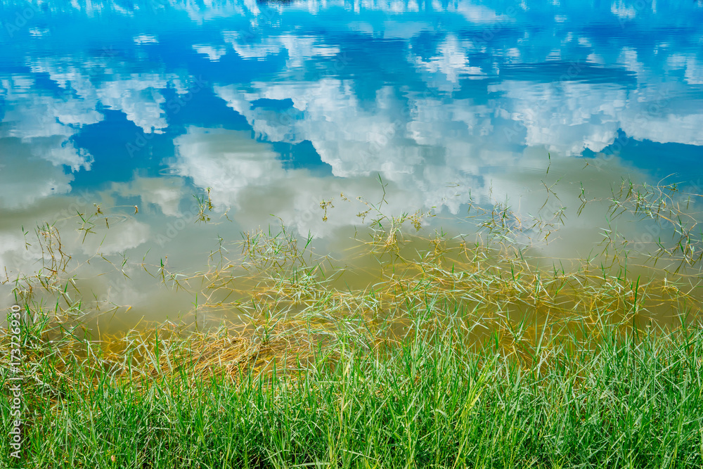 Green grass white wild flowers, dark blue sky reflected water