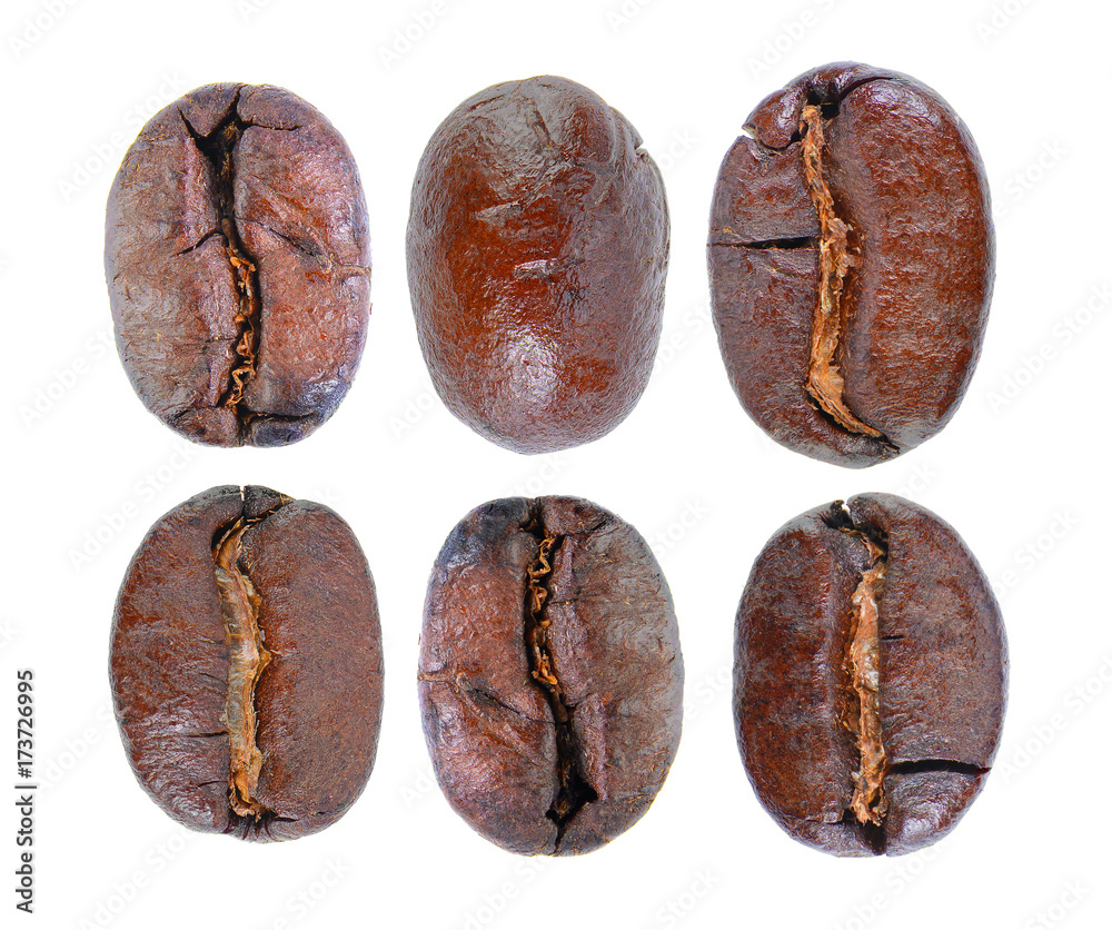 roasted coffee beans isolated in white background roasted coffee beans isolated in white background