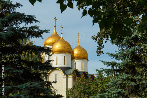 Moscow, Russia, the golden domes of Assumption Cathedral in Moscow Kremlin through the trees