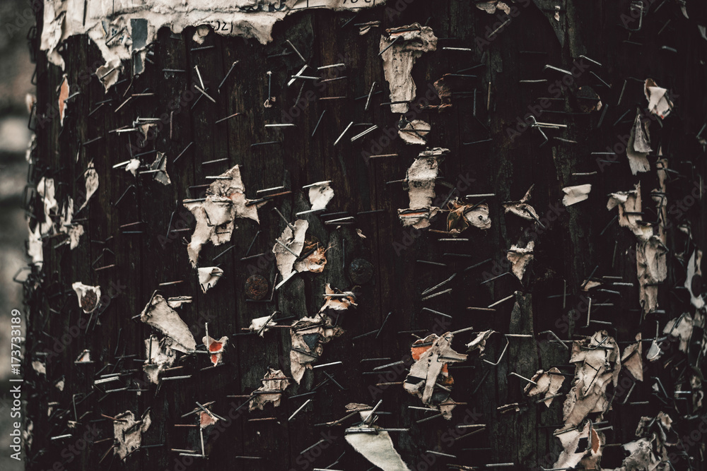 Φωτογραφία Close-Up Of Wooden Telegraph Pole With Rusty Staples And Ripped Pieces Of Paper