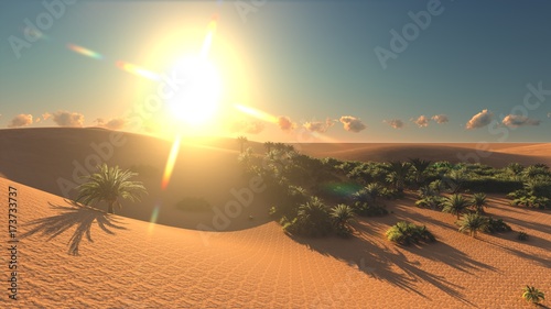 Wonderful view on Sahara desert at sunset 3d rendering photo