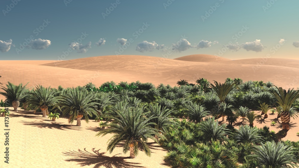 Amazing view on Sahara desert at sundown 3d rendering