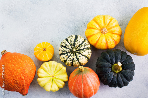 Top view of different varieties of pumpkins and gourds on the off white background, selective focus