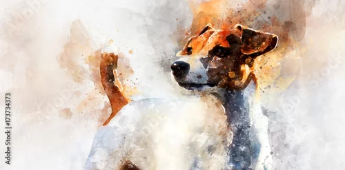 Obraz Pies Jack Russell Terrier. Cyfrowe malarstwo akwarelowe