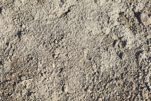 Natural background - surface of dirt