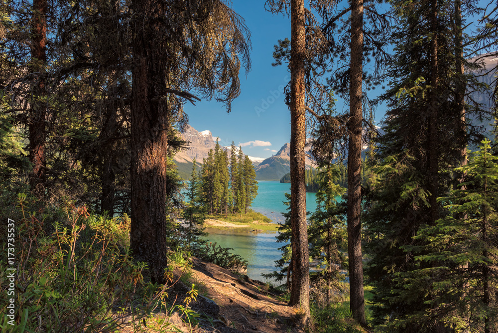 Beautiful view of the Spirit Island in Maligne Lake, from tourist trail in the forest, Jasper National park, Alberta, Canada. Beautiful view of the Spirit Island in Maligne Lake, from tourist trail in the forest, Jasper National park, Alberta, Canada.