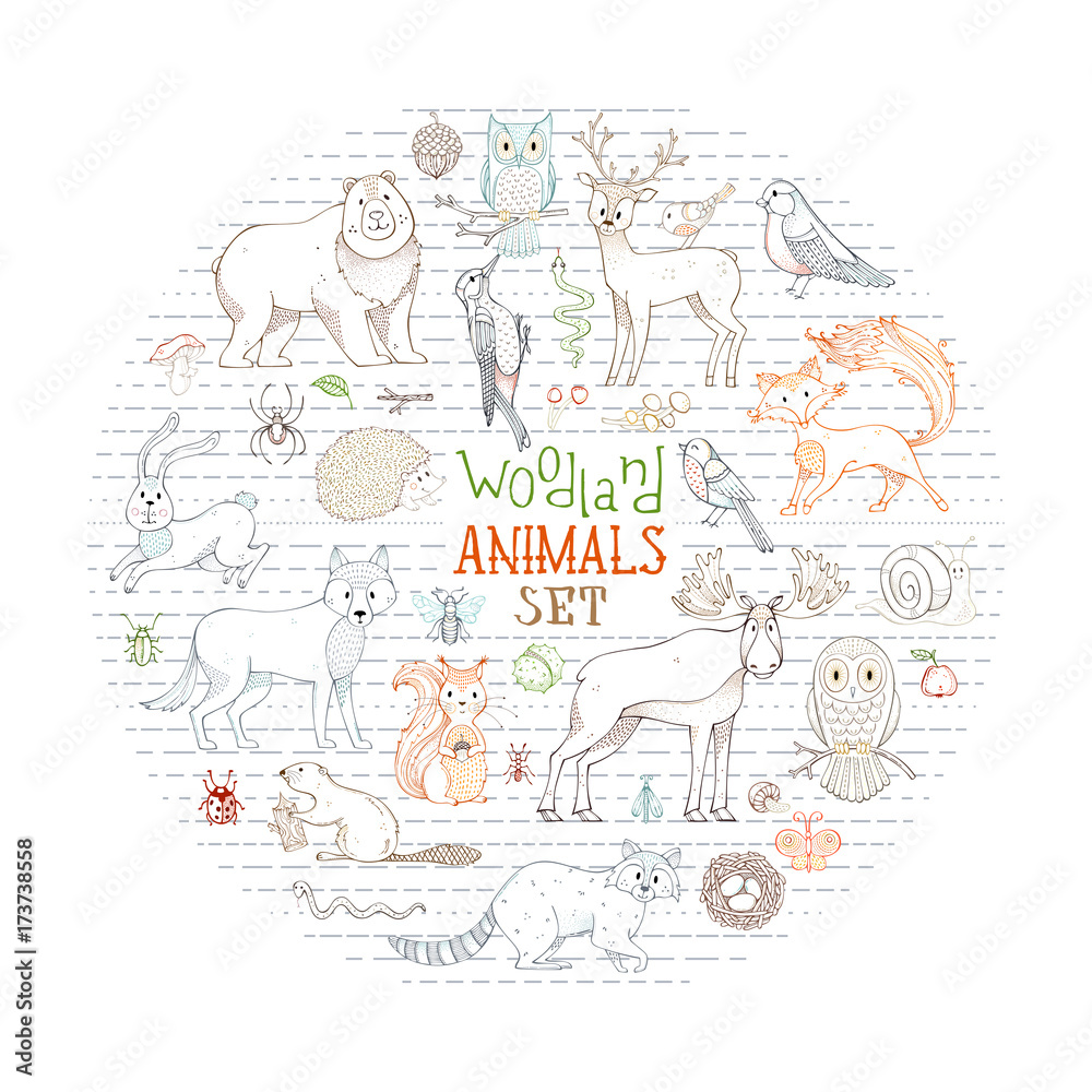 Vector woodland animals set in a circle.